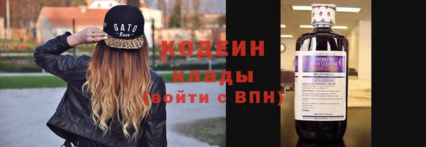 спиды Бородино