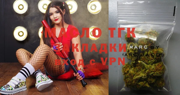 шишки Верея
