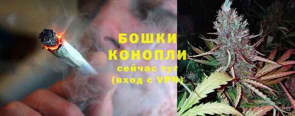 спиды Бородино