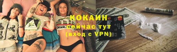 спиды Бородино