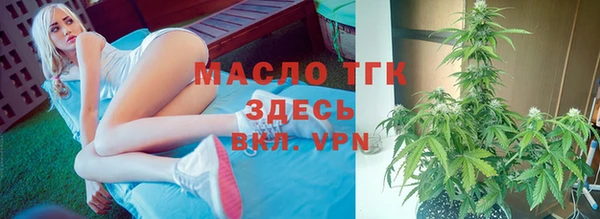 спиды Бородино
