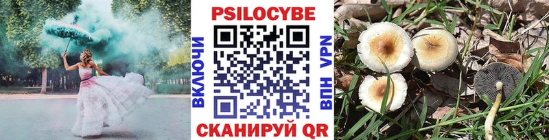 Купить закладки  Дрезна  Псилоцибиновые грибы мухоморы 